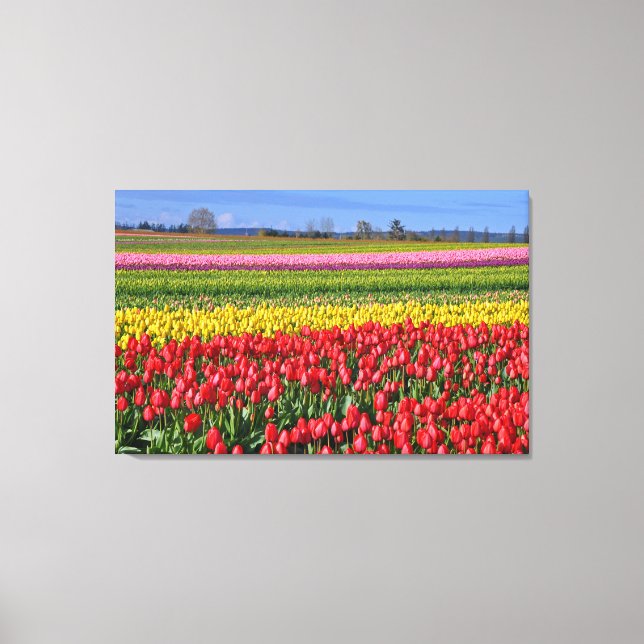 Colourful tulips landscape canvas print (Front)