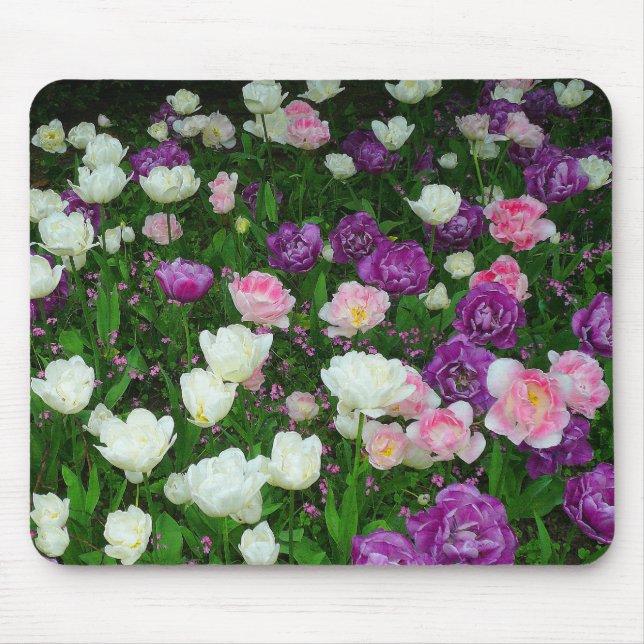 Colourful Tulips Mouse Mat (Front)