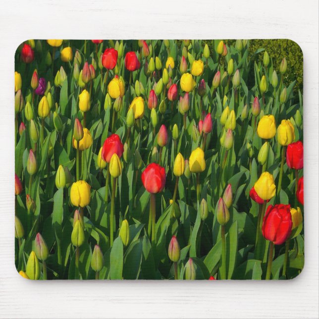 Colourful Tulips Mouse Mat (Front)
