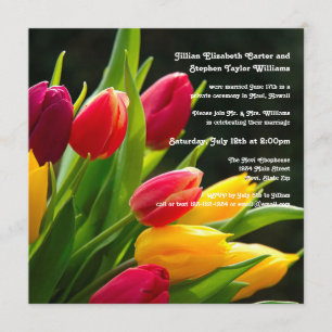 Colourful Tulips Photo -5x5 Wedding Announcement