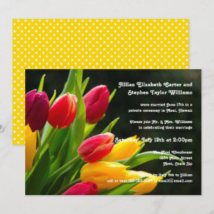 Colourful Tulips Photo - Wedding Announcement