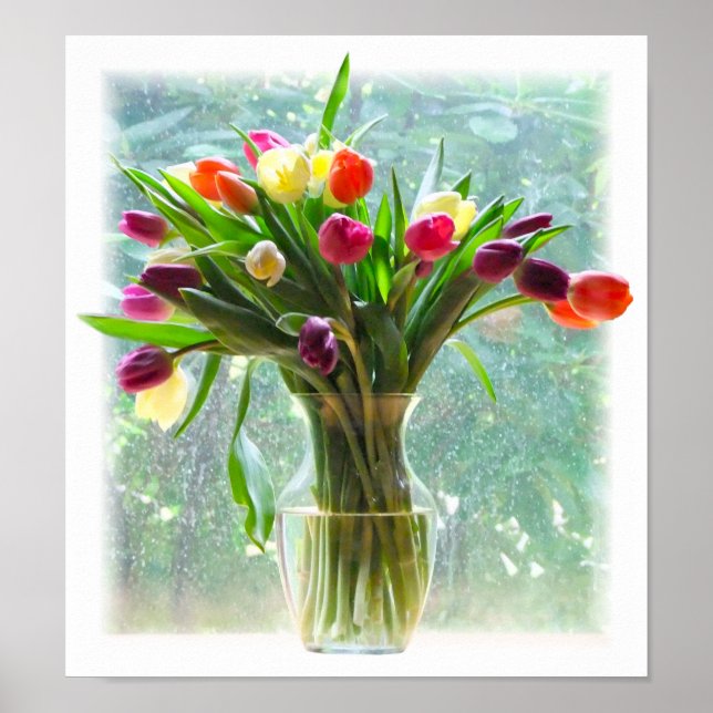 Colourful Tulips Poster (Front)