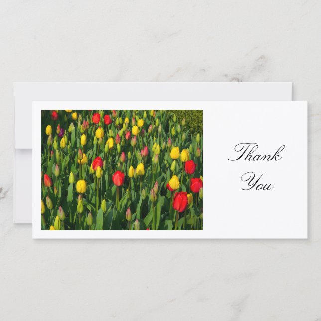 Colourful Tulips - Thank You Card (Front)