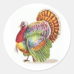 colourful turkey classic round sticker