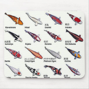 Colourful Varieties of Koi Fish Nishikigoi Drawing Mouse Mat