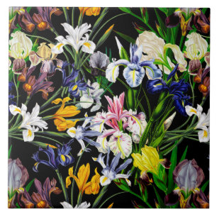 Colourful Victorian Iris Flowers on Black Pattern Tile