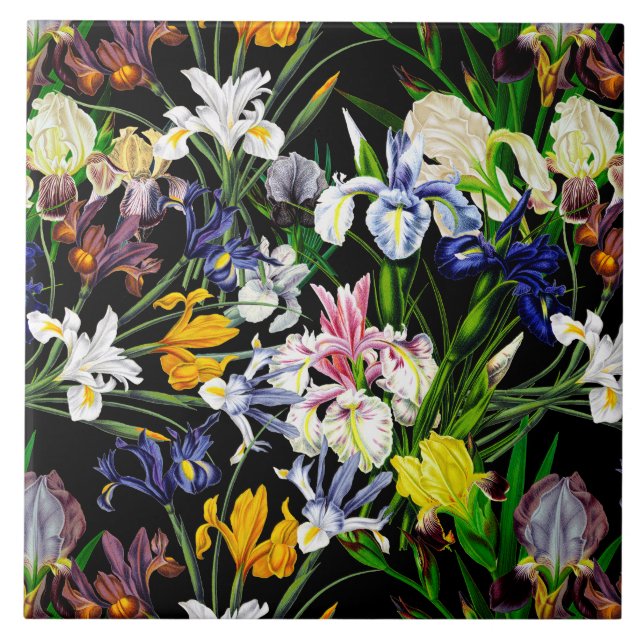 Colourful Victorian Iris Flowers on Black Pattern Tile (Front)