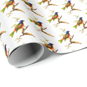 Colourful Vintage Bird Illustration Pattern Wrapping Paper