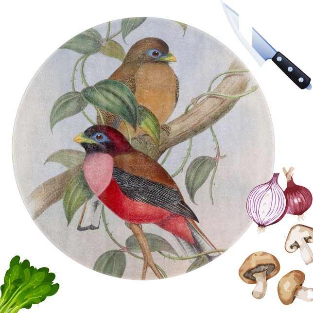 Colourful Vintage Birds Illustration Cutting Board (A beautiful vintage birds cutting board will add color and style to your kitchen. Makes a great gift)