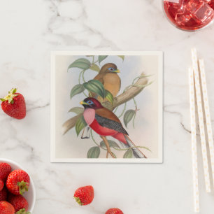 Colourful Vintage Birds Illustration Paper Napkin