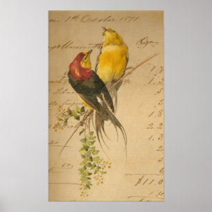 Colourful Vintage Birds On Vintage Ledger Collage Poster