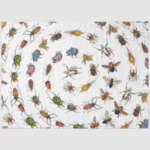 Colourful Vintage Bugs & Beetles Pattern Tissue Paper