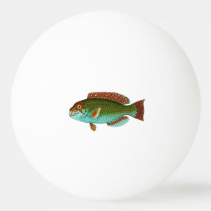 Colourful Vintage Fish Ping Pong Ball