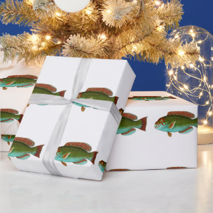 Colourful Vintage Fish Wrapping Paper