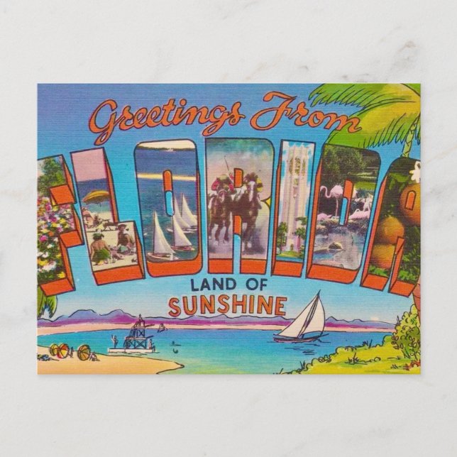 Colourful Vintage Florida  Postcard (Front)