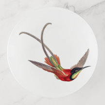 Colourful vintage hummingbird