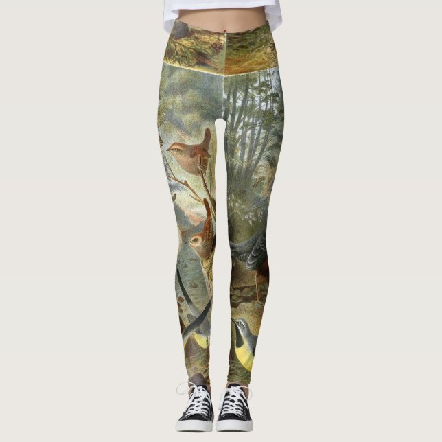 Colourful vintage illustration of birds leggings (Front)