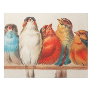 Colourful vintage illustration of five little bird notepad