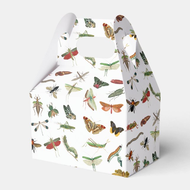 Colourful Vintage Insect Birthday Party Theme   Favour Box (Front Side)