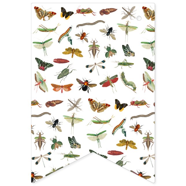 Colourful Vintage Insect Illustration Pattern  Bunting (First Flag)