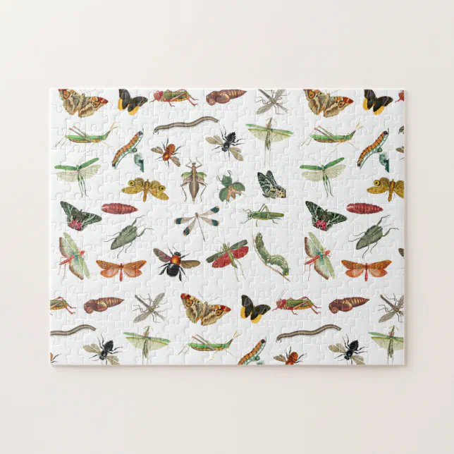 Colourful Vintage Insect Illustration Pattern Jigsaw Puzzle | Zazzle