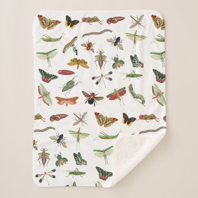 Colourful Vintage Insect Illustration Pattern Sherpa Blanket (Front)