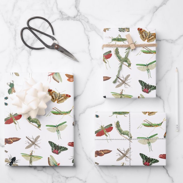 Colourful Vintage Insect Illustration Pattern  Wrapping Paper Sheet (Front)
