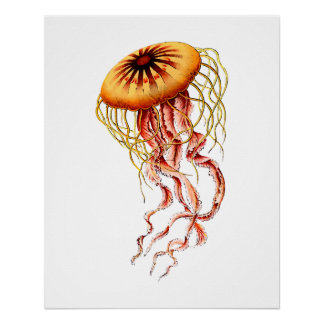 Colourful Vintage Jellyfish Poster