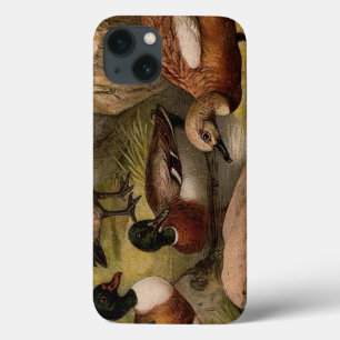 Colourful vintage painting of ducks iPhone 13 case