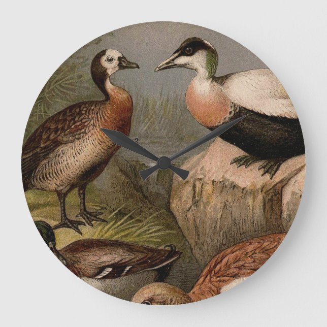Colourful vintage painting of ducks large clock (Front)
