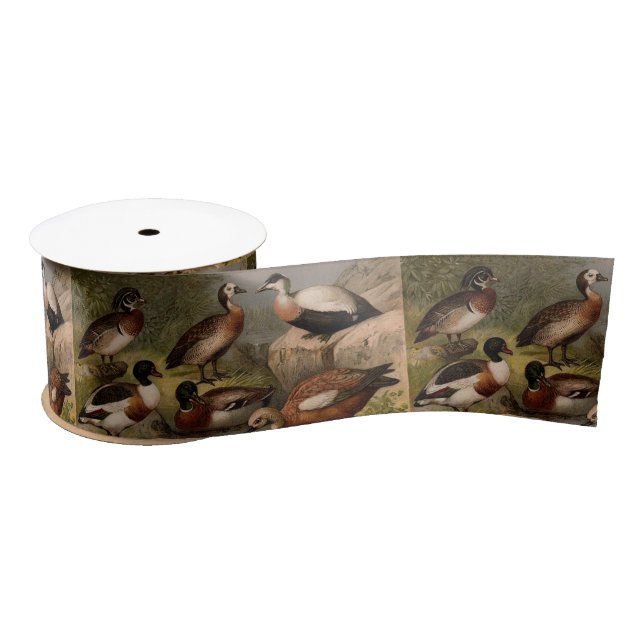 Colourful vintage painting of ducks satin ribbon (Spool)