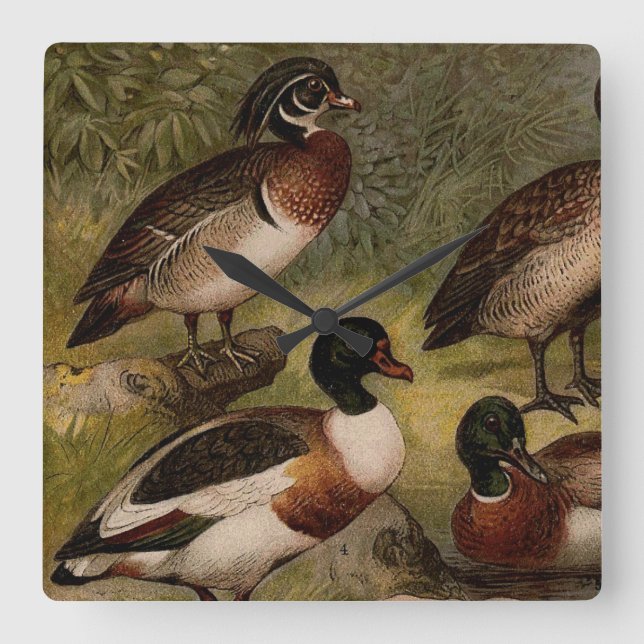 Colourful vintage painting of ducks square wall clock (Front)