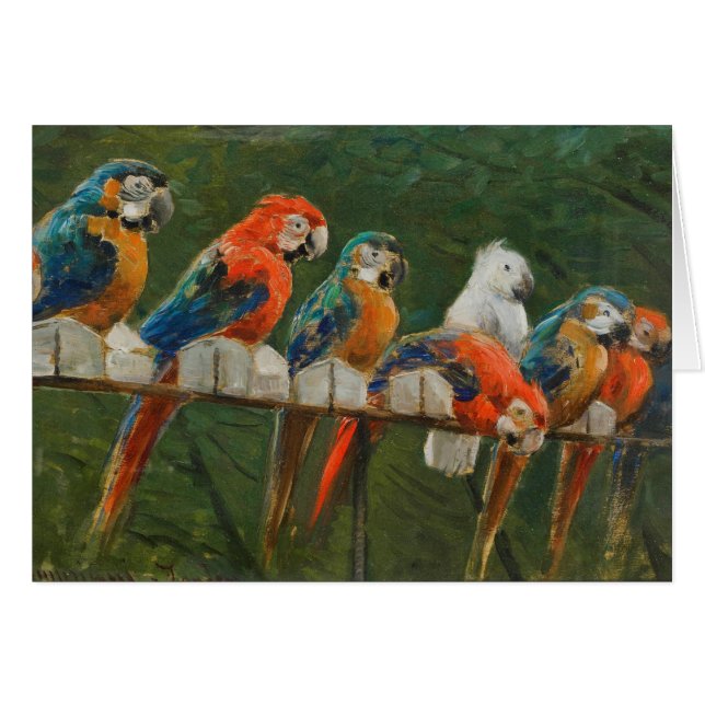 Colourful Vintage Parrots Blank Inside (Front Horizontal)