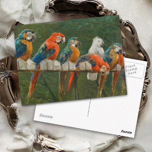 Colourful Vintage Parrots Postcard