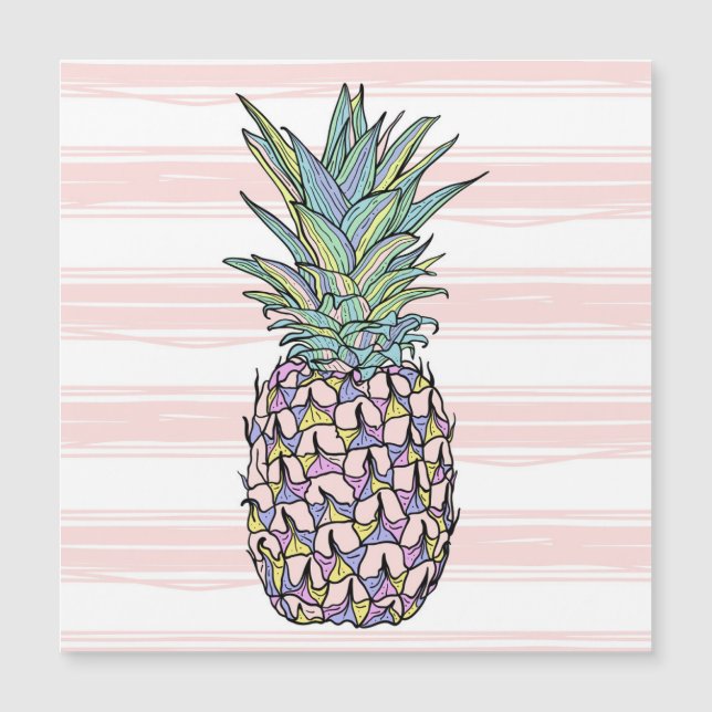 Colourful vintage pineapple illustration. (Front)