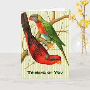 Colourful Vintage Red & Green Parrots Illustration Card