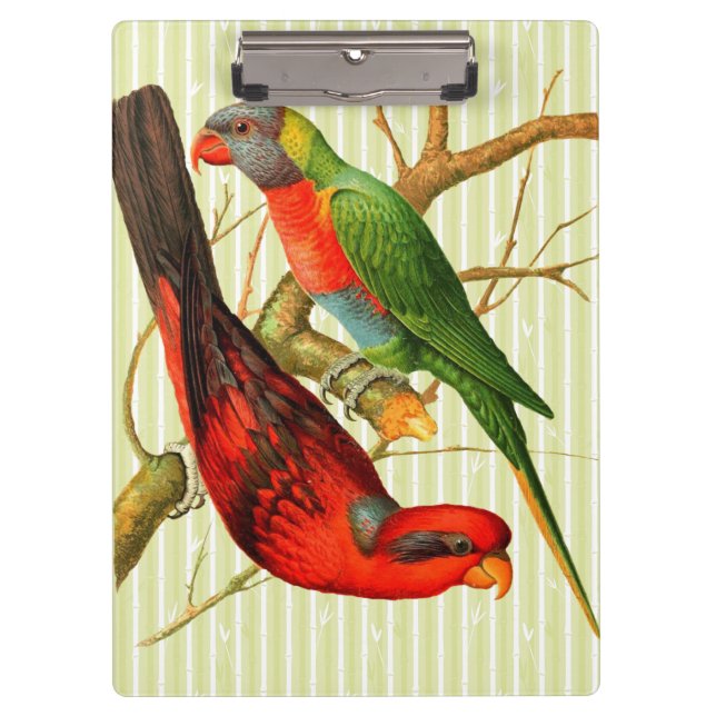 Colourful Vintage Red & Green Parrots Illustration Clipboard (Front)