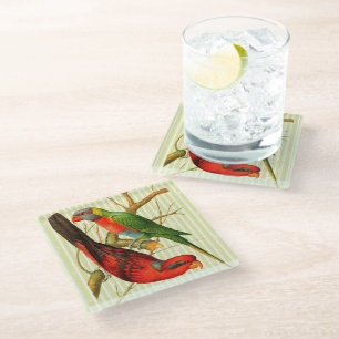 Colourful Vintage Red & Green Parrots Illustration Glass Coaster