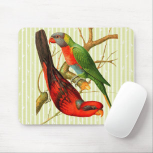 Colourful Vintage Red & Green Parrots Illustration Mouse Mat