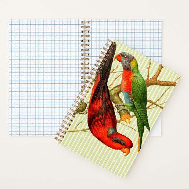 Colourful Vintage Red & Green Parrots Illustration Notebook (Inside)