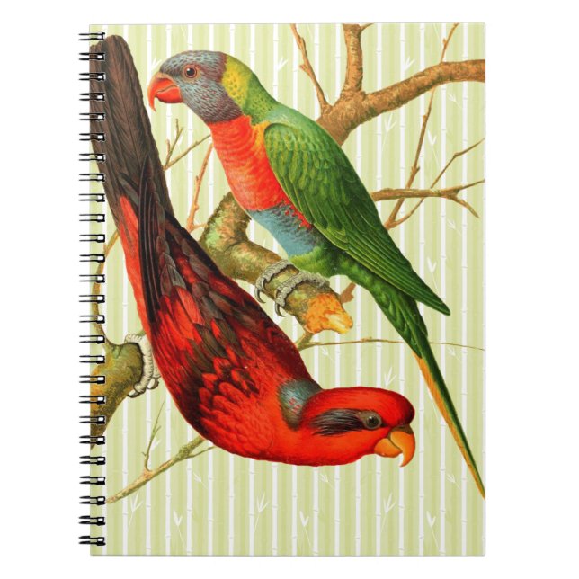 Colourful Vintage Red & Green Parrots Illustration Notebook (Front)