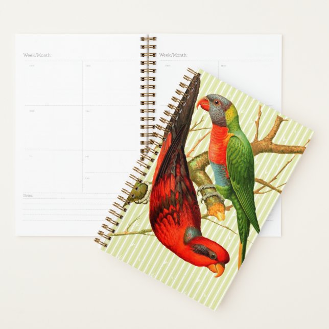 Colourful Vintage Red & Green Parrots Illustration Planner (Display)