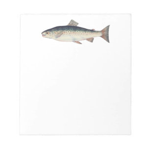 Colourful vintage salmon illustration notepad