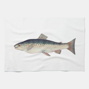 Colourful vintage salmon illustration tea towel