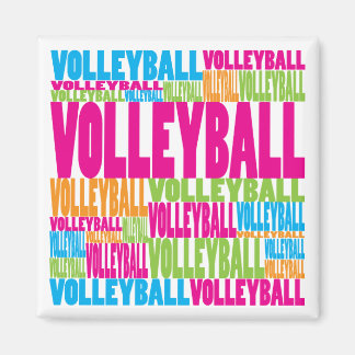 Colourful Volleyball Magnet