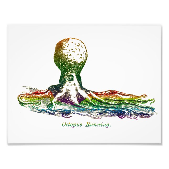 Colourful Wall Art - Octopus Running (Front)