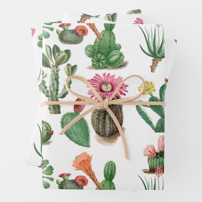 Colourful Watercolor Cactus & Succulents Flowers  Wrapping Paper Sheet (In situ)