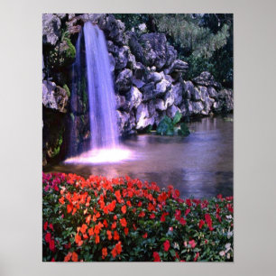 Colourful waterfass w/flowers poster