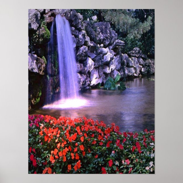 Colourful waterfass w/flowers poster (Front)