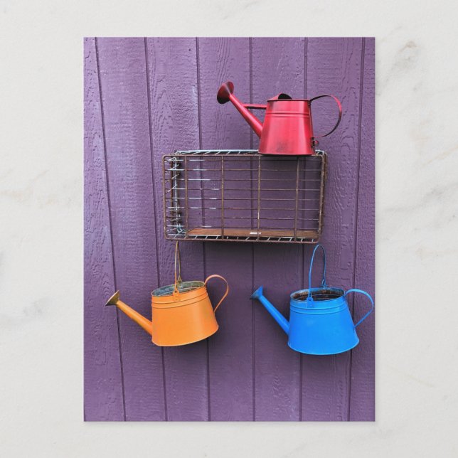Colourful Watering Cans Postcard (Front)
